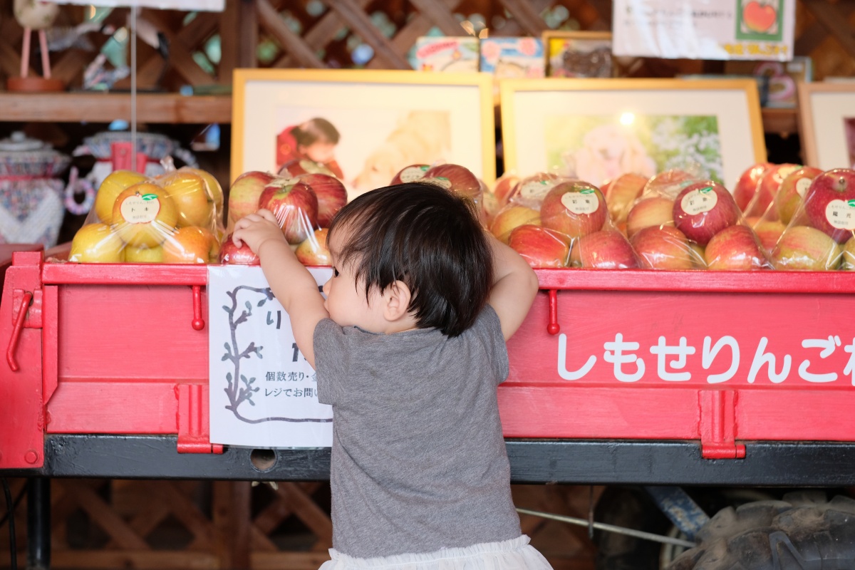 りんご大好きな姫ちゃんが「しもせりんご村」で初めてのりんご狩り