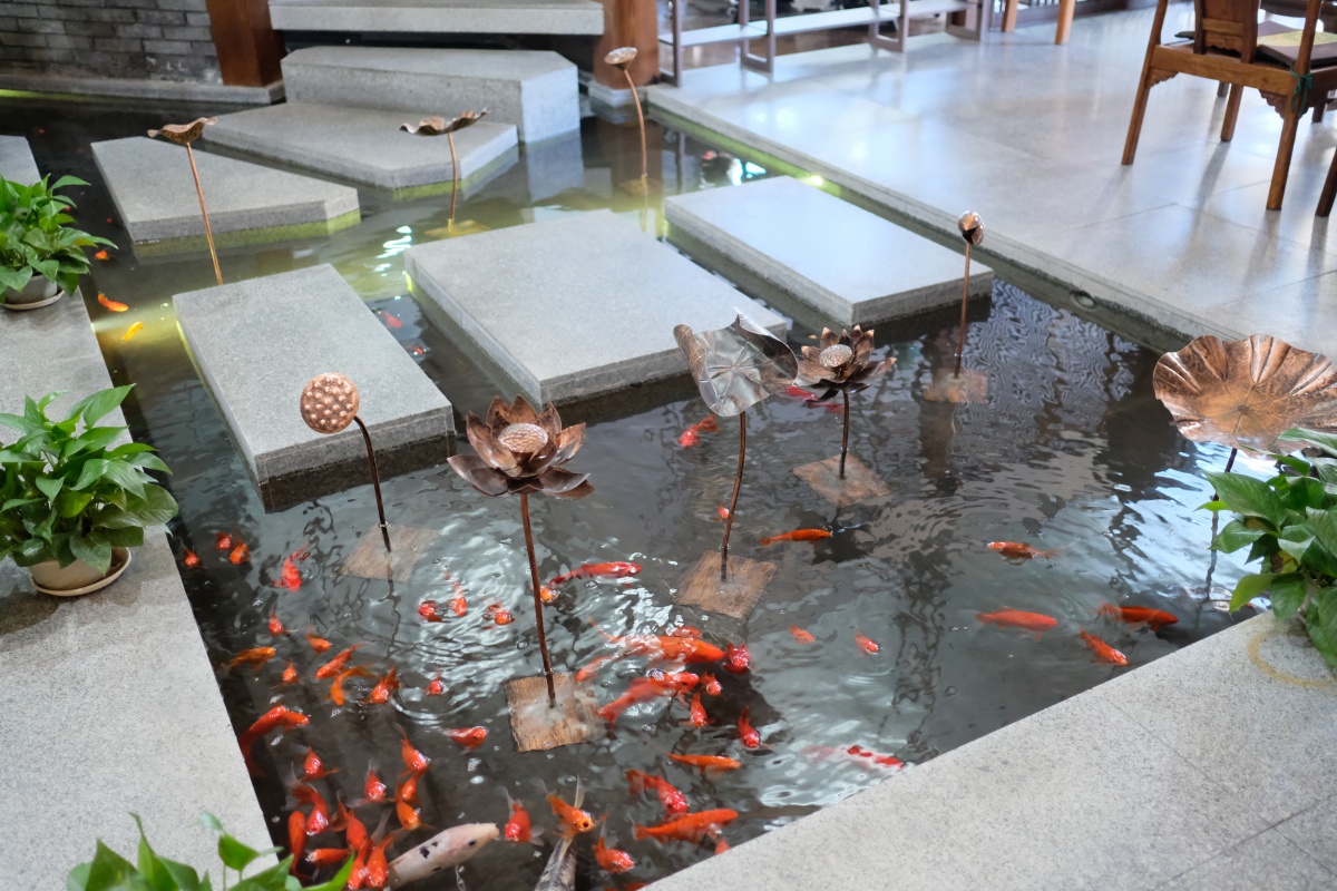 第七話「中国デザイン事務所のオフィスには鯉が泳いでいる!?」atafutaアウトバウンド中国編！