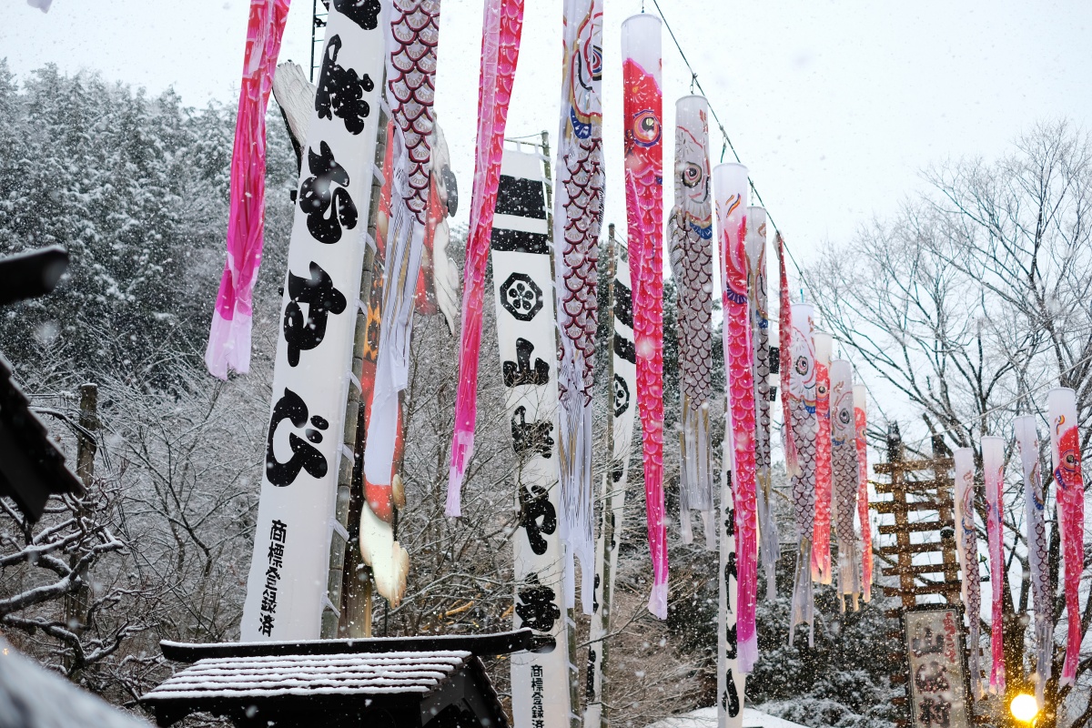 下関市立大学韓国人留学生の우종호（ウ ジョンホ）くんと山大学・優紀ちゃんと山賊食って来ました！美しい雪景色に魅力的な動画撮影が出来て大満足！