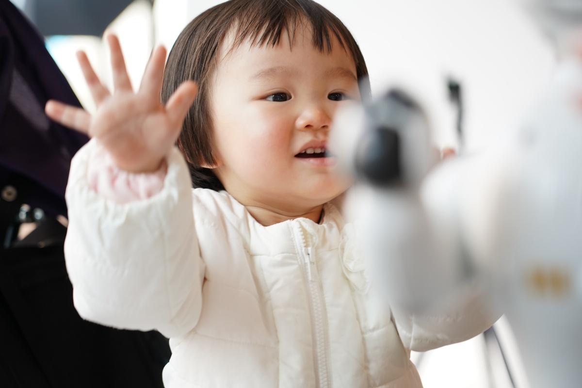 姫ちゃんをモデルにしてFUJIFILM X-H1がイイかな？SONY α7 IIIがイイかな？SONY α7 R IIIがイイかな？と妄想するのが愉しい！
