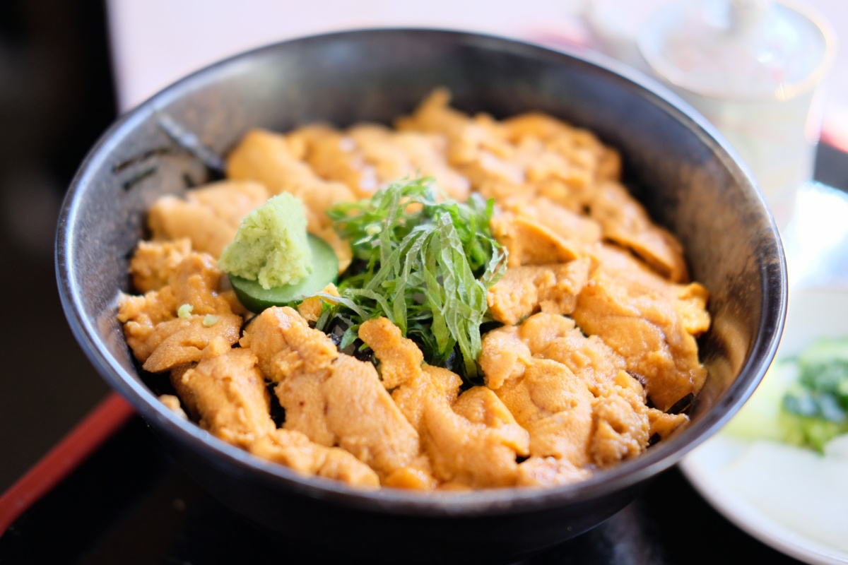 天気の良い週末にとようらブルーラインでうにずくし丼！姫ちゃんの前髪カットで可愛さ100倍！