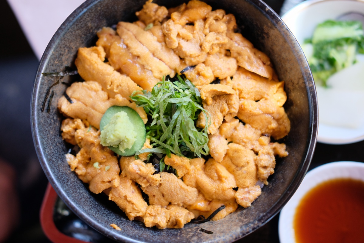 天気の良い週末にとようらブルーラインでうにずくし丼！姫ちゃんの前髪カットで可愛さ100倍！