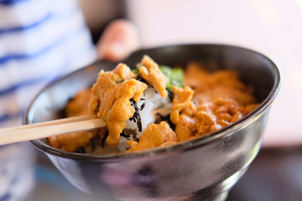 天気の良い週末にとようらブルーラインでうにずくし丼！姫ちゃんの前髪カットで可愛さ100倍！