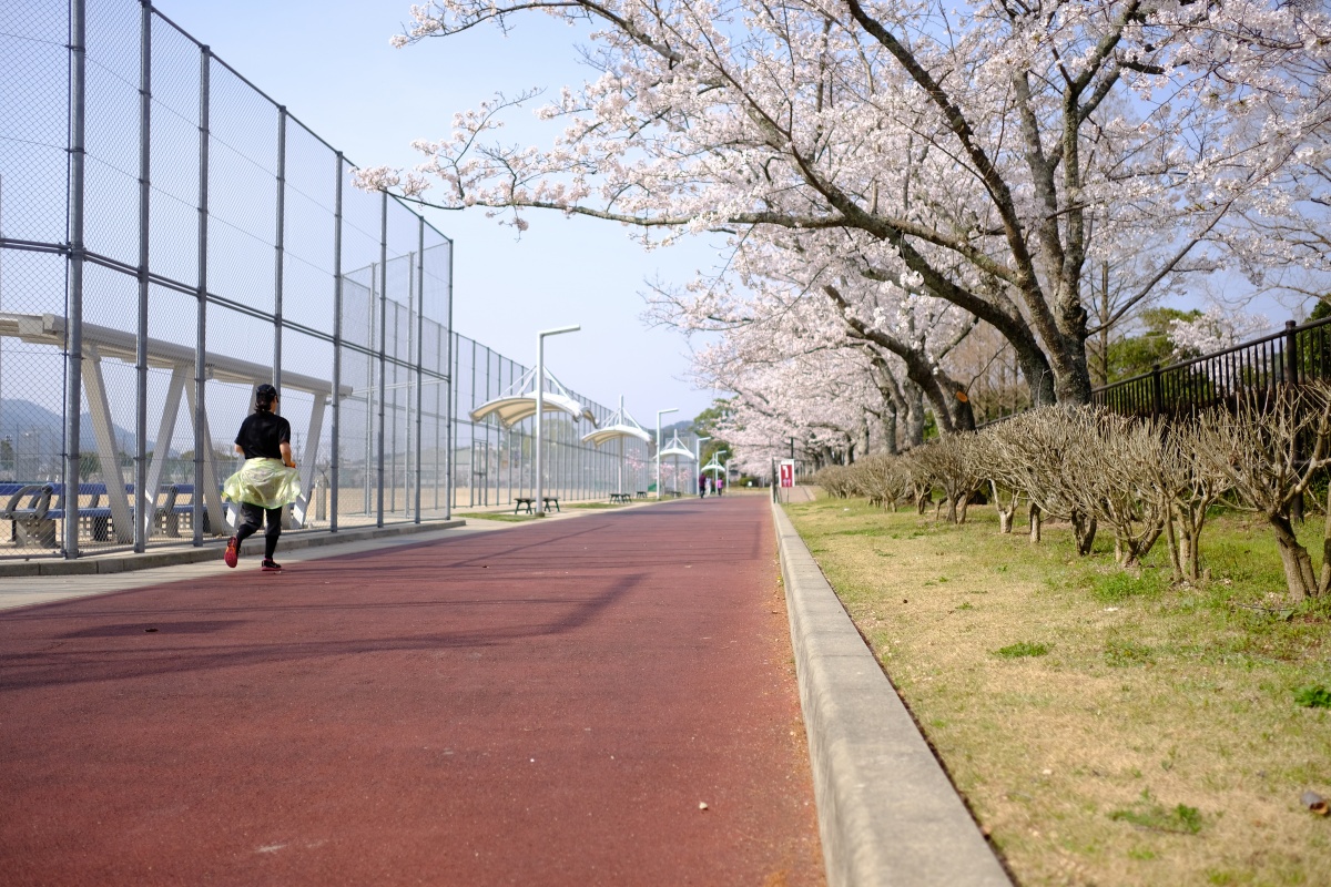 桜のキレイな維新公園で時間調整中！ゴールデンウィークでの工事に向けて現場打ち合わせ！ランチは野菜ソムリエの柳井さつきさんとチャイニーズキッチン貴でランチ！