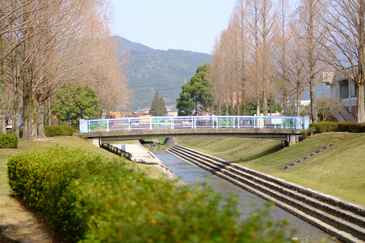 桜のキレイな維新公園で時間調整中！ゴールデンウィークでの工事に向けて現場打ち合わせ！ランチは野菜ソムリエの柳井さつきさんとチャイニーズキッチン貴でランチ！