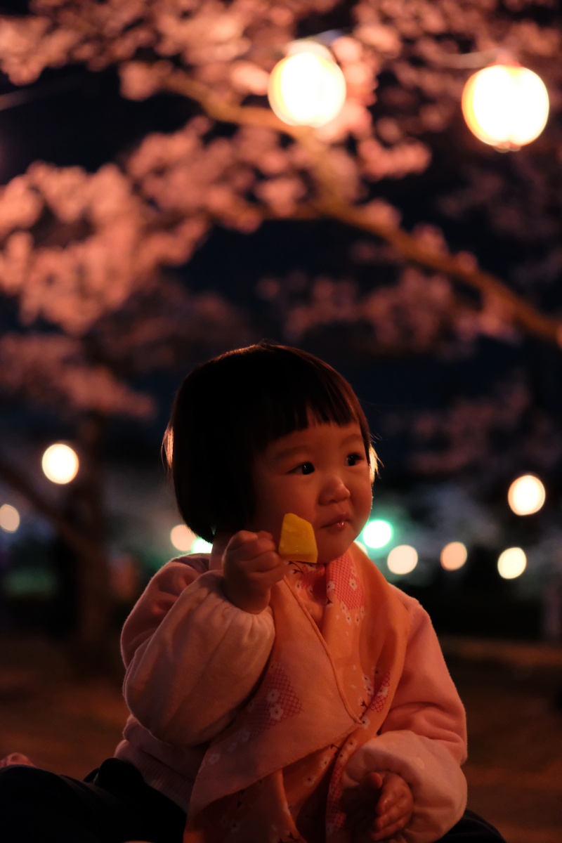 姫ちゃん初体験！お弁当持参で戦場ヶ原公園夜桜お花見！