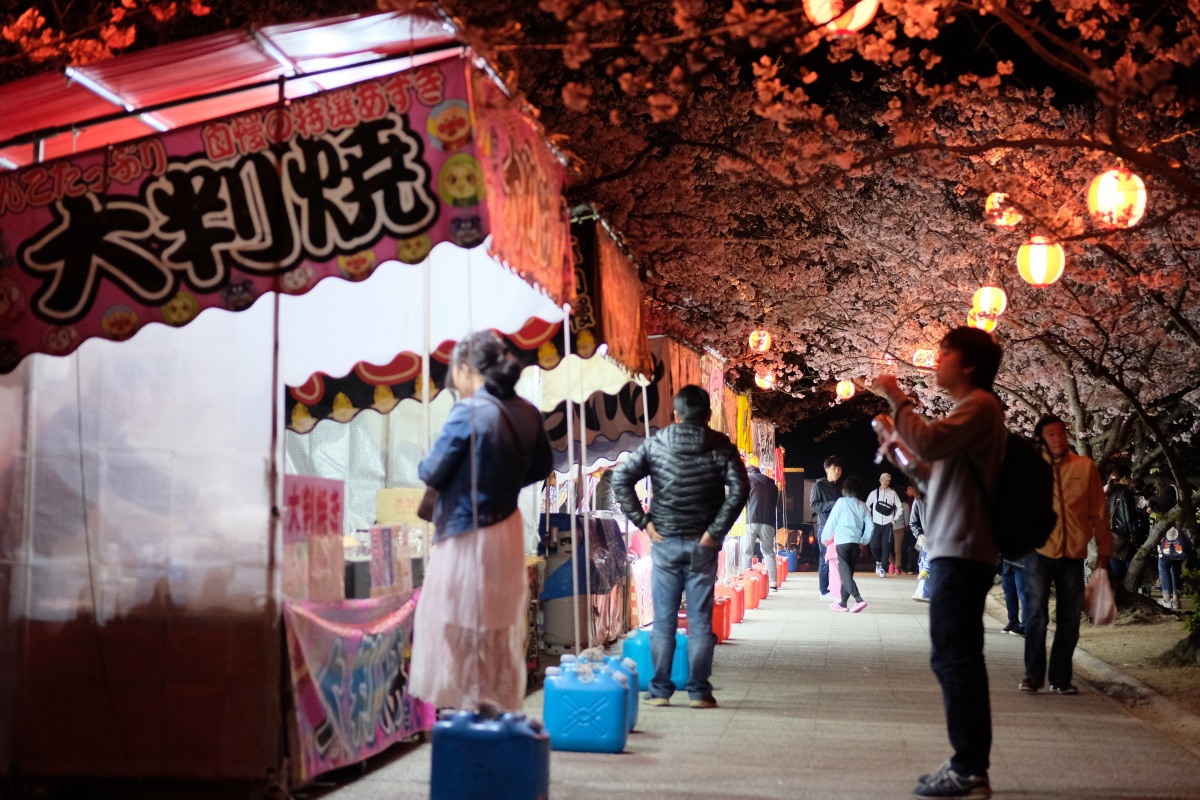 姫ちゃん初体験！お弁当持参で戦場ヶ原公園夜桜お花見！