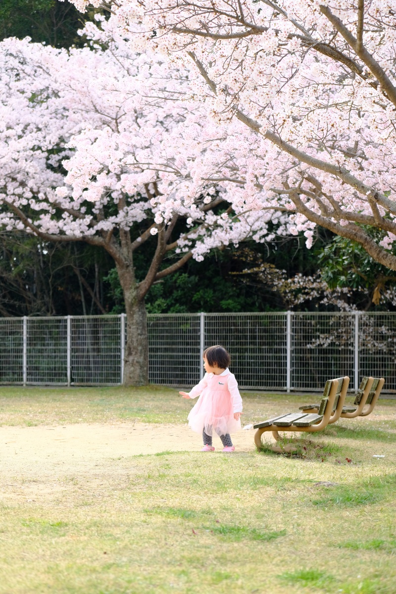 4月1日新しい生活が始まる！手伝ってくれたから「祝30周年・神戸JEJE」のステーキをご馳走するよ！