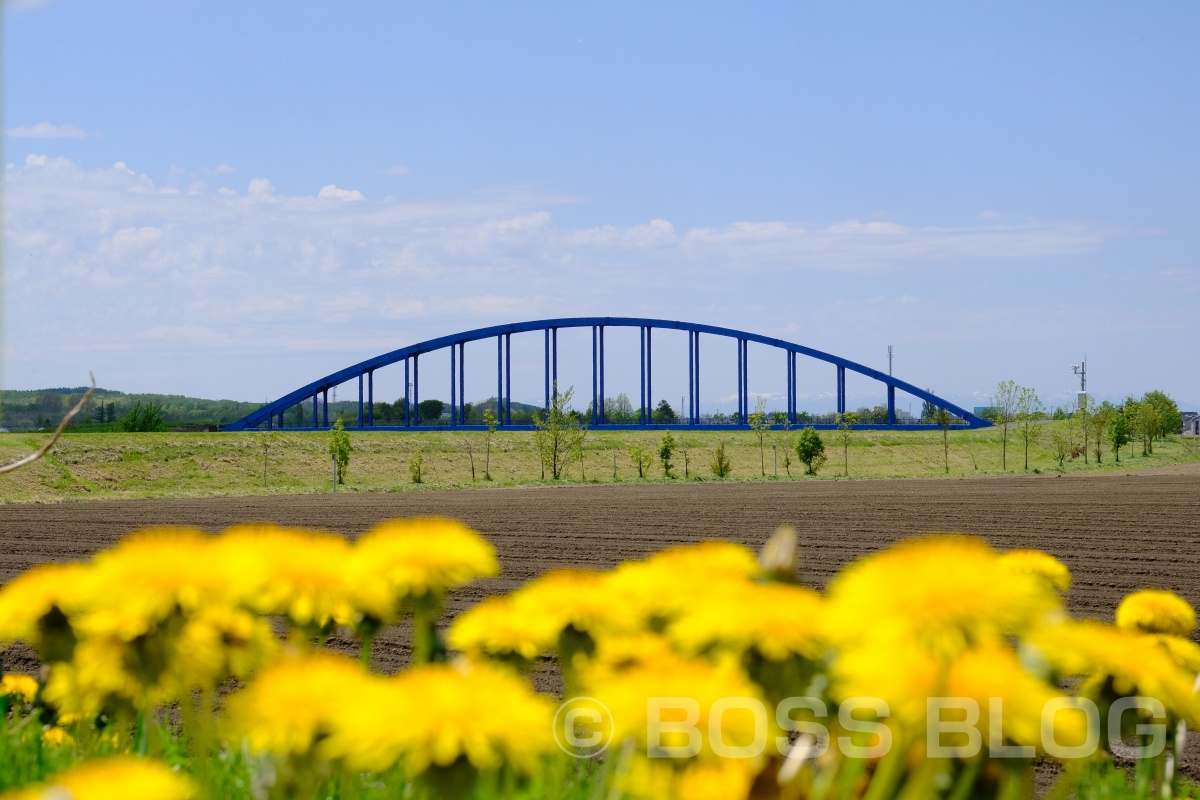 インバウンドツアー北海道編！2時間半かけてやって来た富良野のラベンダー畑に（Vol.3）