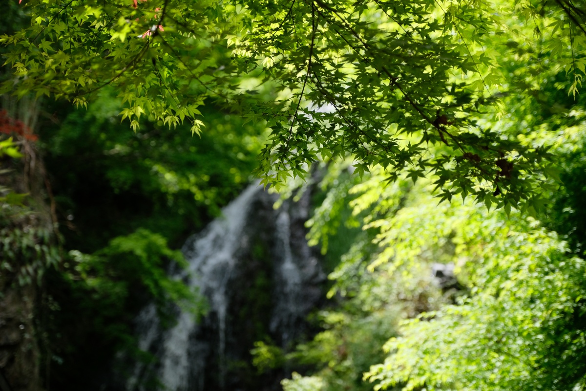 外国人観光客も大喜び！岩国の新しい現場に行く途中で「いろり山賊」来てみました！