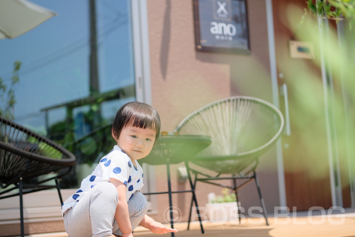 ano hairさんで夏バージョンにさっぱりカットの姫ちゃんとカメラさんぽ