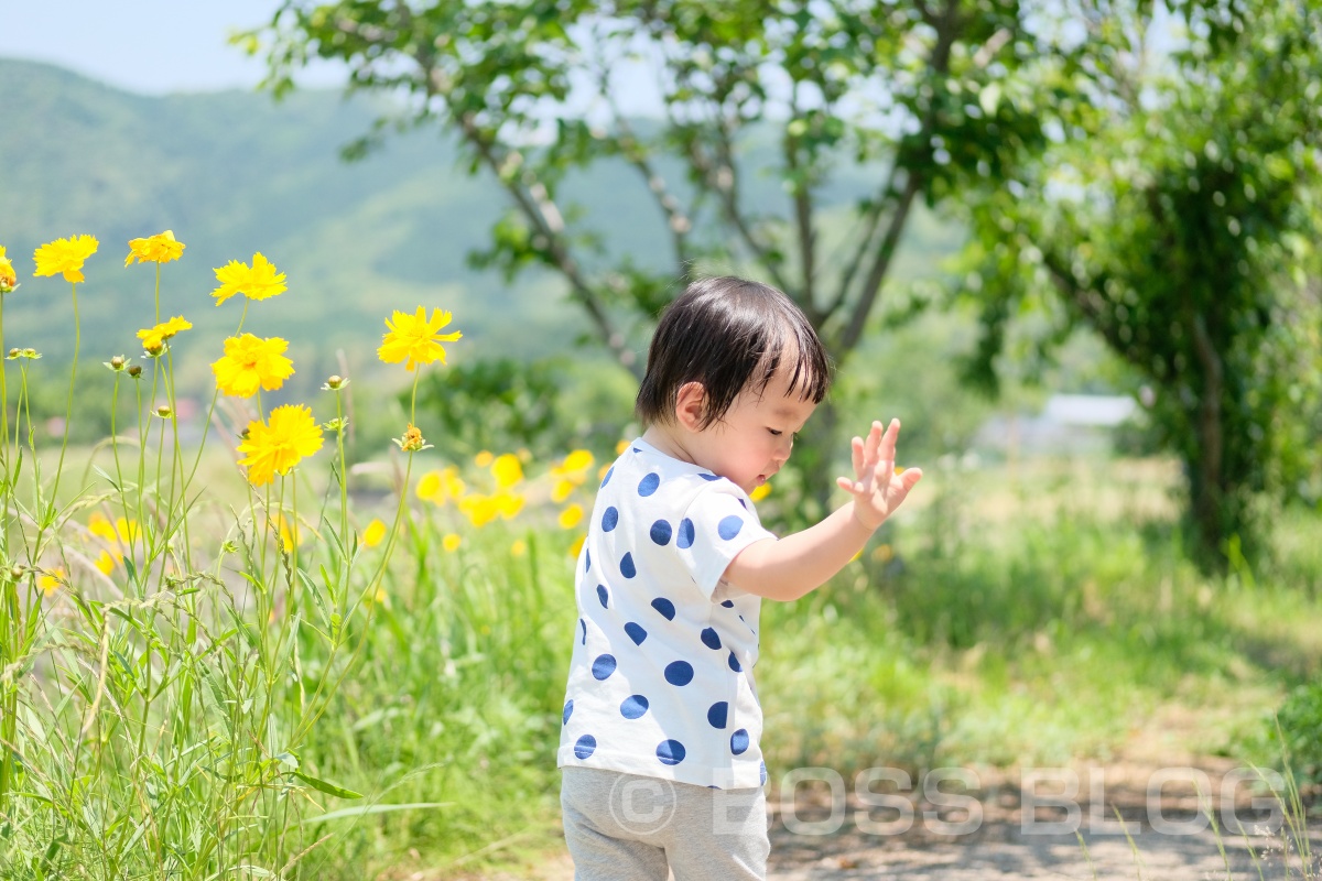 ano hairさんで夏バージョンにさっぱりカットの姫ちゃんとカメラさんぽ