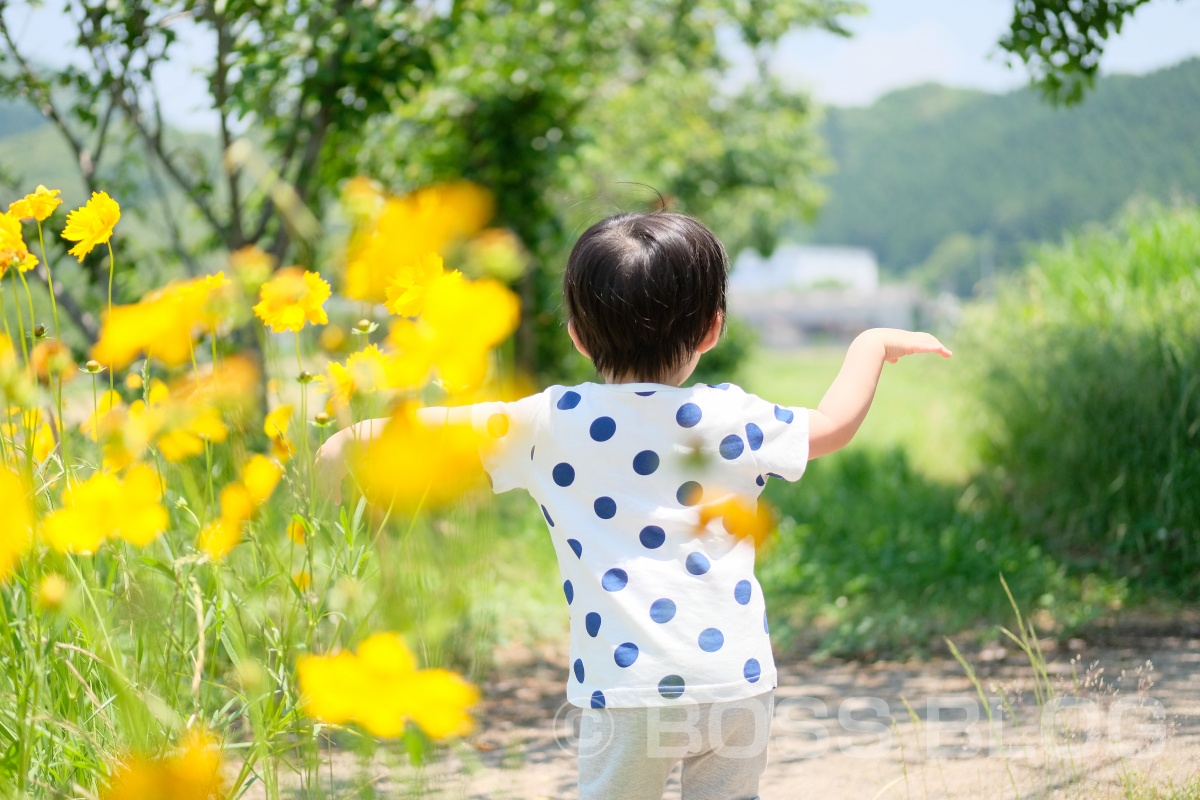 ano hairさんで夏バージョンにさっぱりカットの姫ちゃんとカメラさんぽ