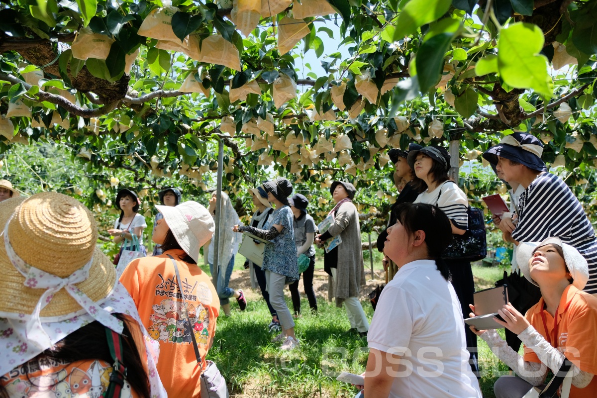 野菜ソムリエ上級プロのさつきさん「ぶちうま！アンバサダー」に就任