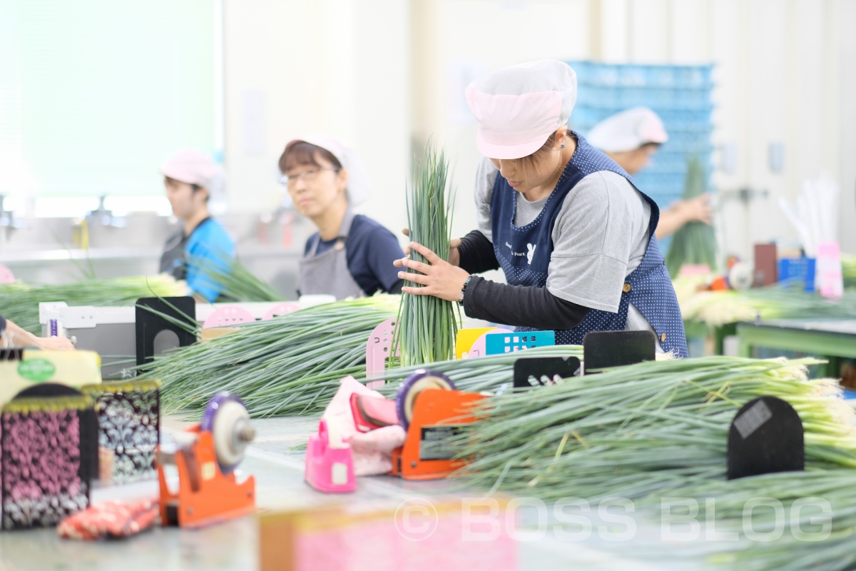 ぶちうま！アンバサダー！野菜ソムリエ上級プロのさつきがゆく！おのだネギ三昧！