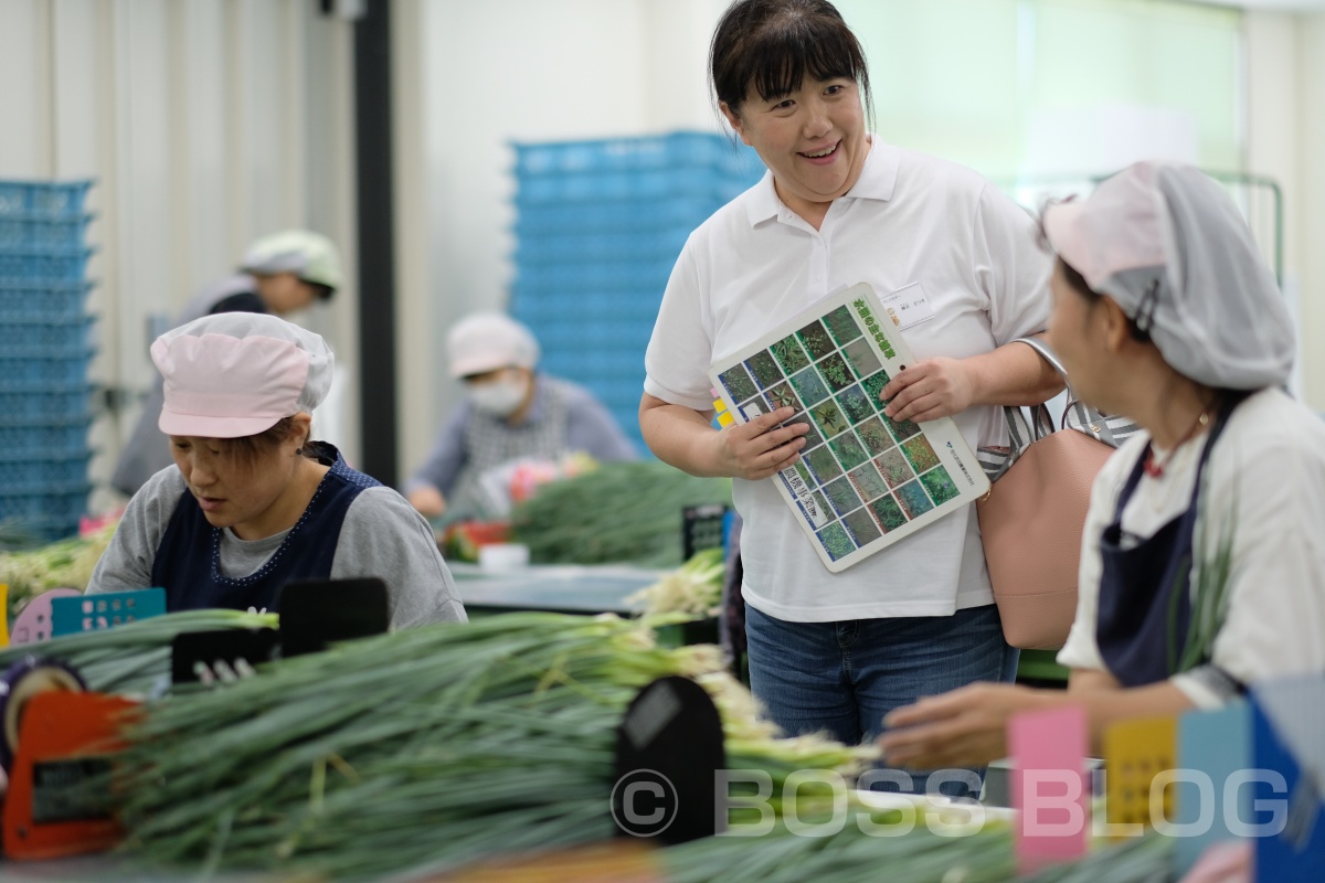 ぶちうま！アンバサダー！野菜ソムリエ上級プロのさつきがゆく！おのだネギ三昧！