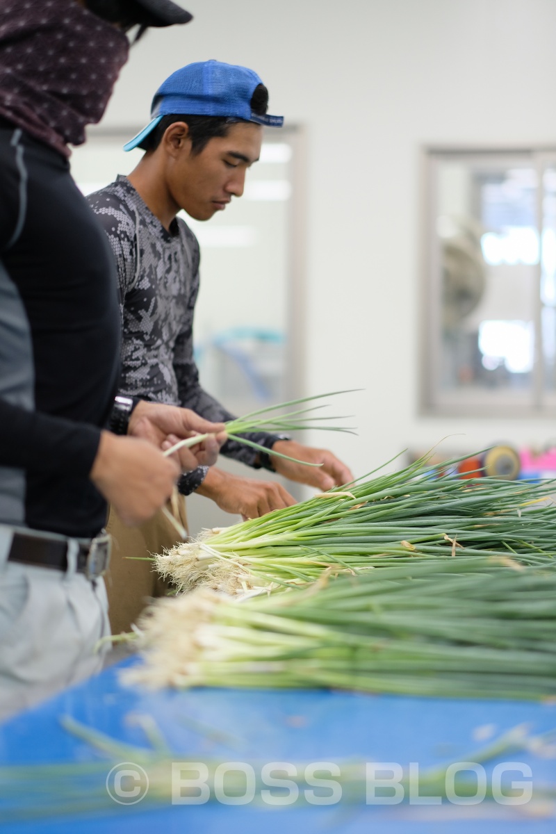 ぶちうま！アンバサダー！野菜ソムリエ上級プロのさつきがゆく！おのだネギ三昧！