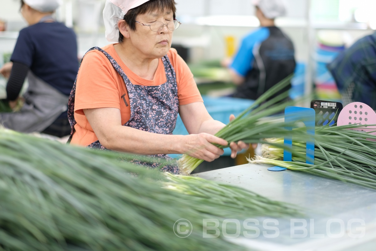 ぶちうま！アンバサダー！野菜ソムリエ上級プロのさつきがゆく！おのだネギ三昧！