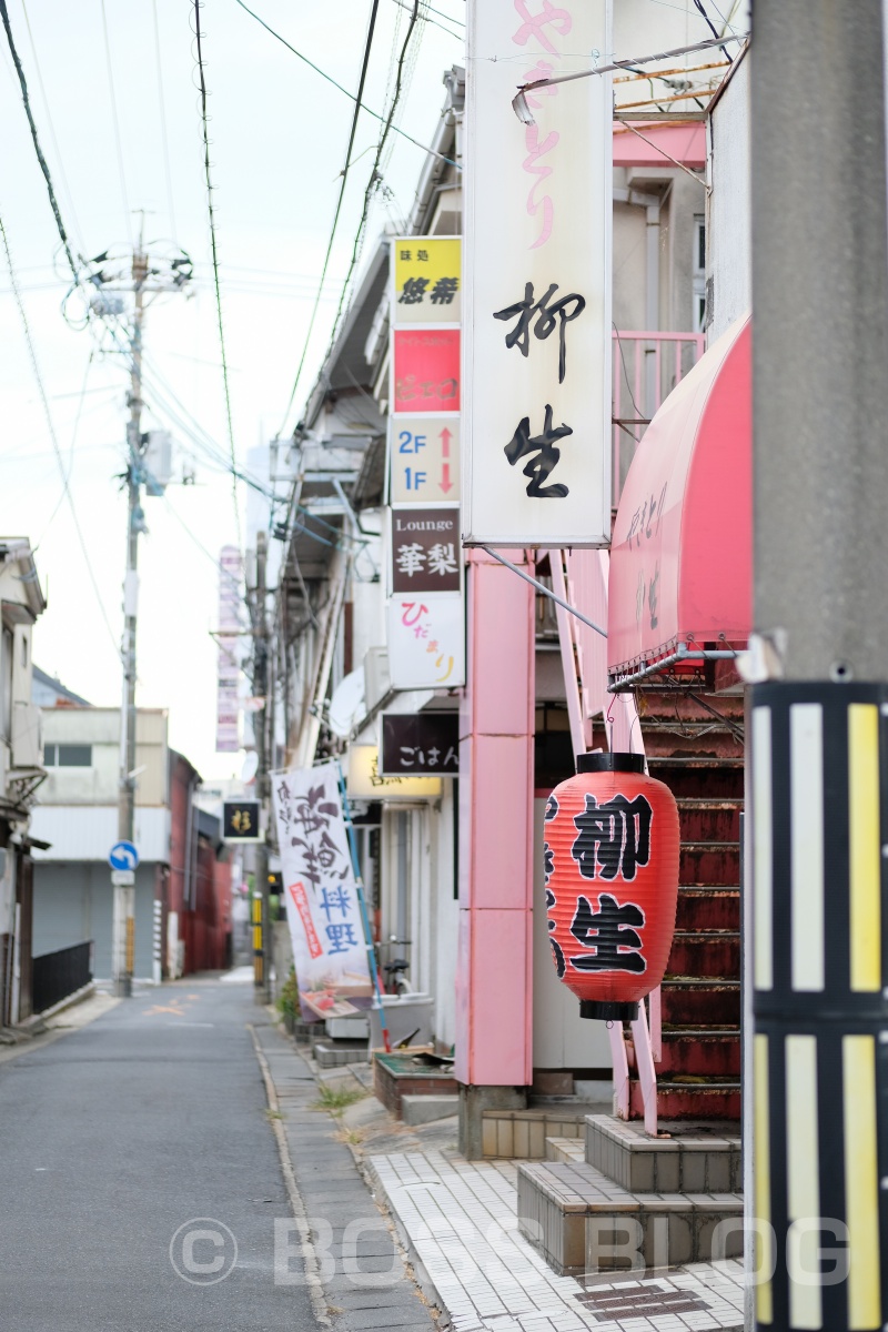 これが噂の「牛串」だ！柳井さつきさんのご実家の焼鳥店「柳生」