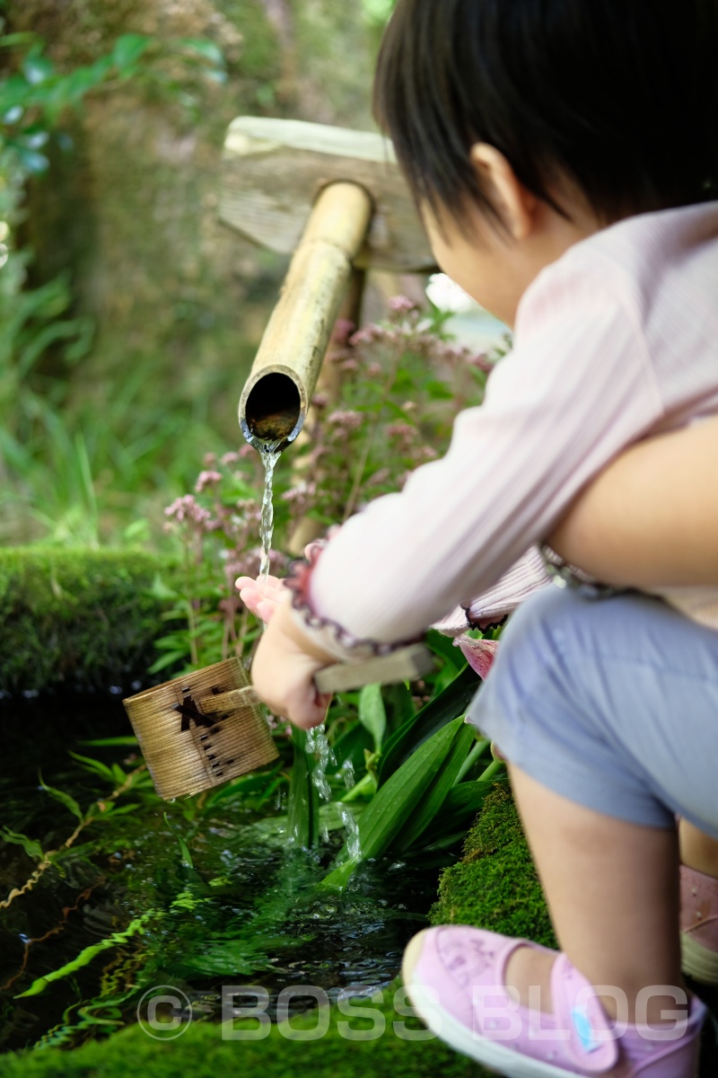 塚原の里でいつもの地鶏炭火焼を堪能した後、湯布院さんぽ