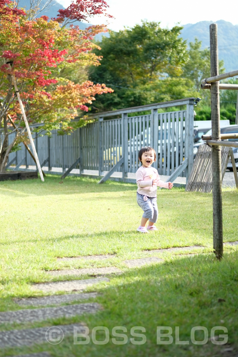 塚原の里でいつもの地鶏炭火焼を堪能した後、湯布院さんぽ