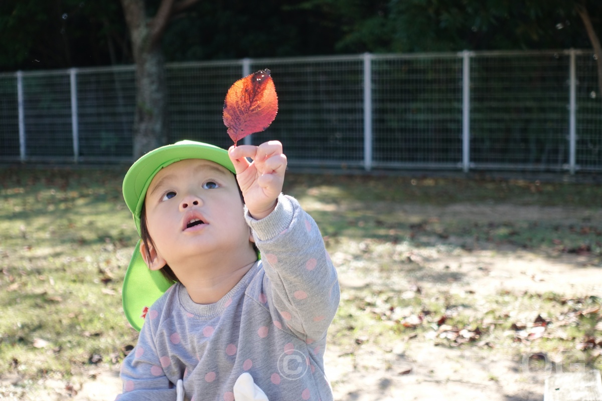 SONY DSC-RX100M5で撮る「公園で遊ぶ姫ちゃん」