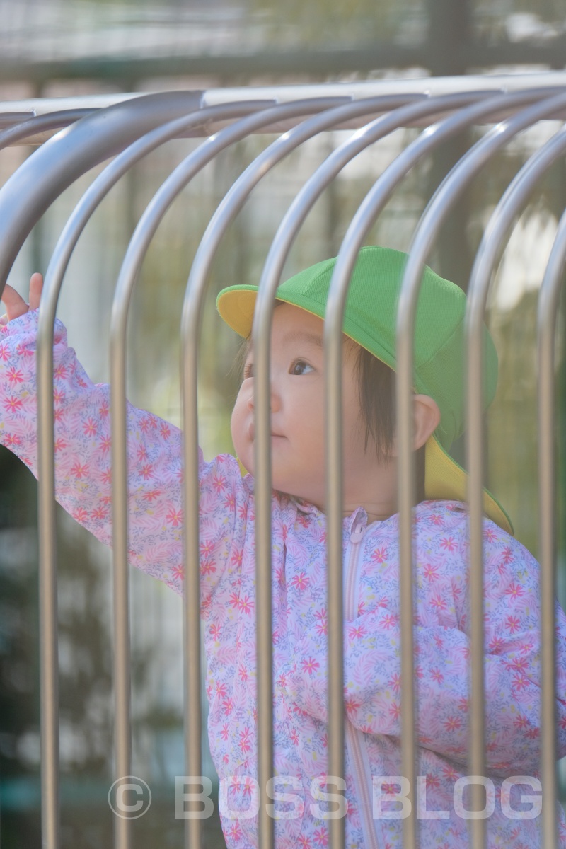 超望遠レンズX-H1+XF100-400mmの組み合わせで徳山動物園デート