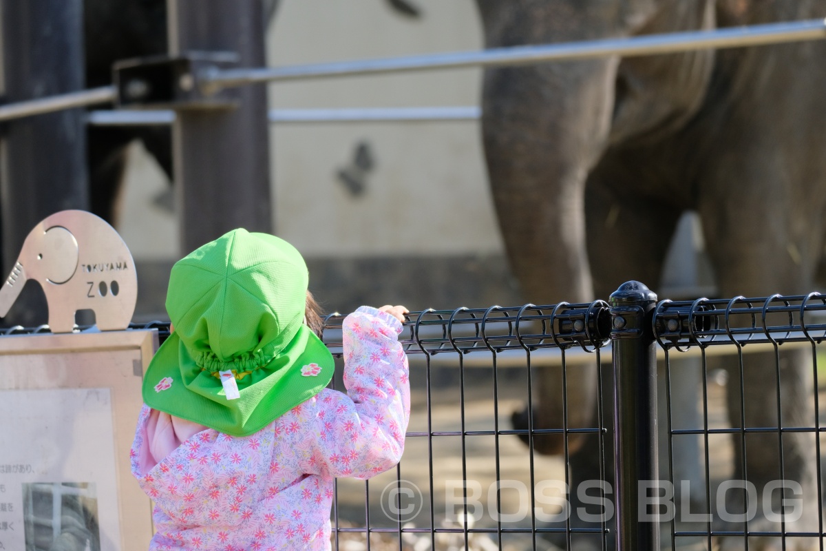 超望遠レンズX-H1+XF100-400mmの組み合わせで徳山動物園デート