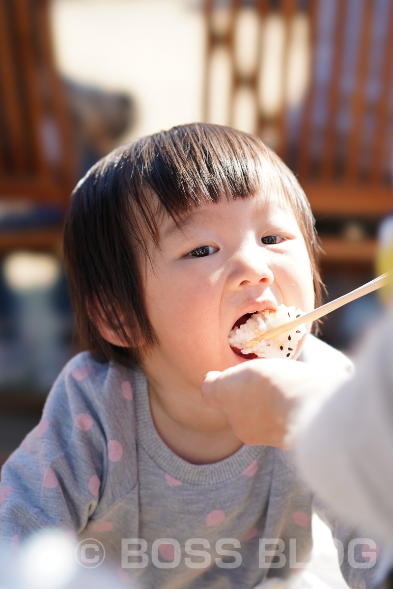 山口ゆめ花博の最終日なので手づくり弁当！おむすびはパパと姫ちゃん作（笑）を持って！