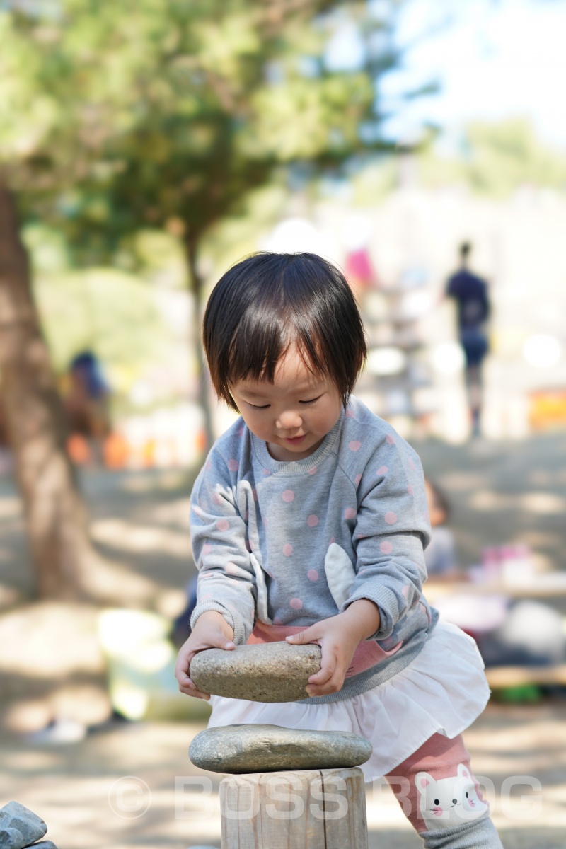 山口ゆめ花博の最終日なので手づくり弁当！おむすびはパパと姫ちゃん作（笑）を持って！