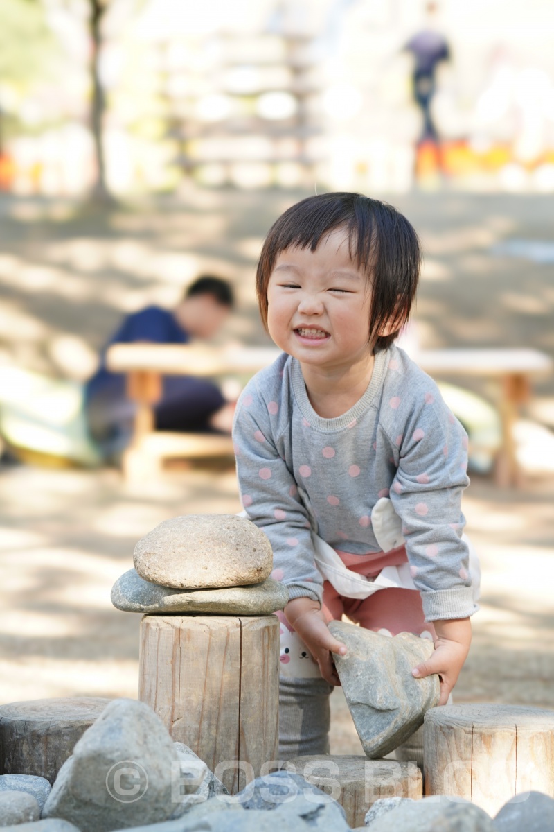 山口ゆめ花博の最終日なので手づくり弁当！おむすびはパパと姫ちゃん作（笑）を持って！