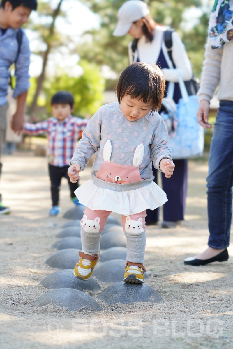 山口ゆめ花博の最終日なので手づくり弁当！おむすびはパパと姫ちゃん作（笑）を持って！