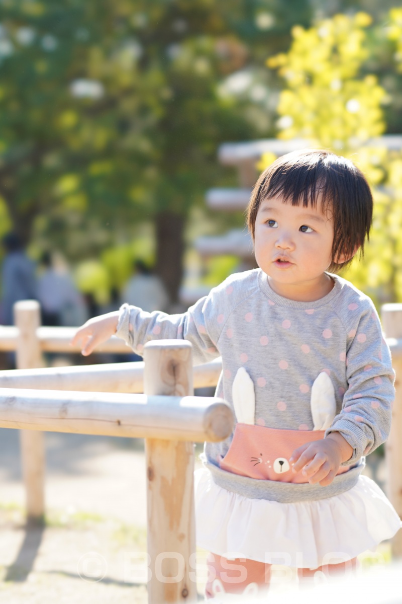 山口ゆめ花博の最終日なので手づくり弁当！おむすびはパパと姫ちゃん作（笑）を持って！