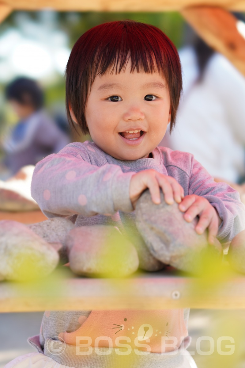 山口ゆめ花博の最終日なので手づくり弁当！おむすびはパパと姫ちゃん作（笑）を持って！