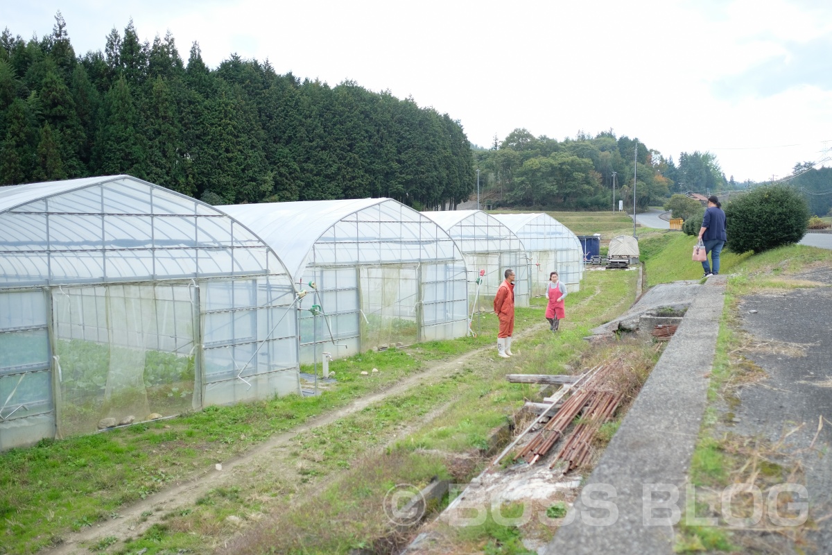 ふくぷくファームは山口県周南市鹿野のたくさんの自然に囲まれた高原地にある農場です。