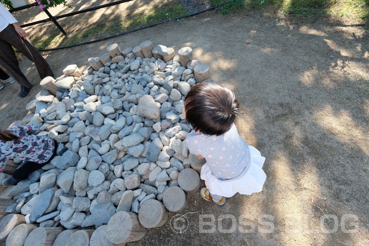 山口ゆめ花博の最終日なので手づくり弁当！おむすびはパパと姫ちゃん作（笑）を持って！