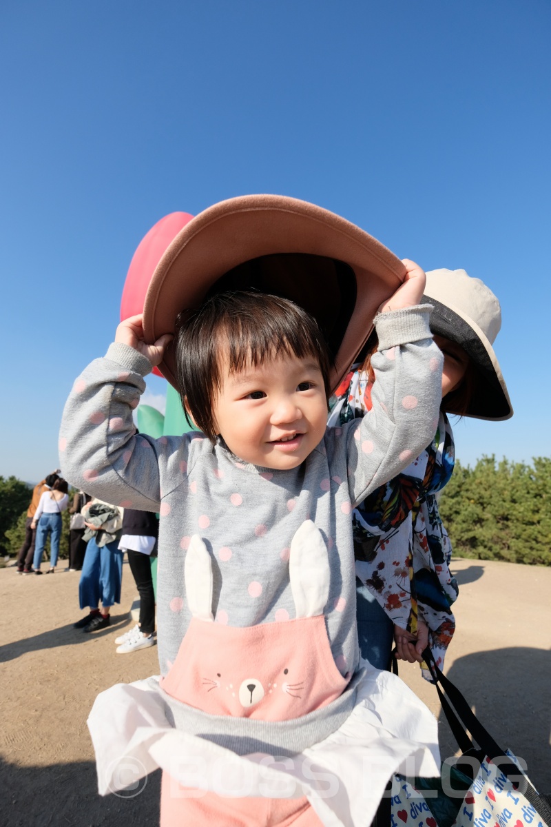 山口ゆめ花博の最終日なので手づくり弁当！おむすびはパパと姫ちゃん作（笑）を持って！