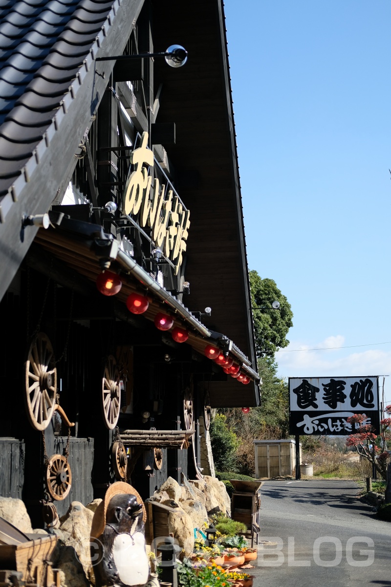 最強の定食「おいはぎ定食」1,000円がオススメ！