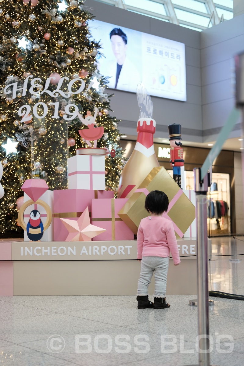 さよなら韓国ソウル！南大門市場が意外におもしろい！五日目最終日　Happy New Year!! 2019