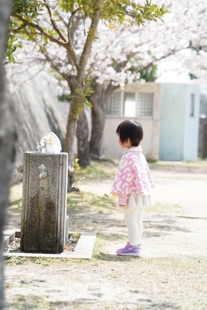 姫ちゃんと桜デート