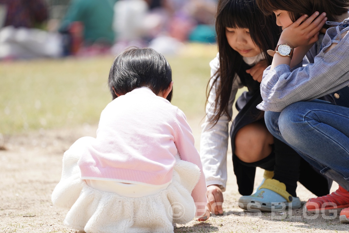 姫ちゃんと桜デート