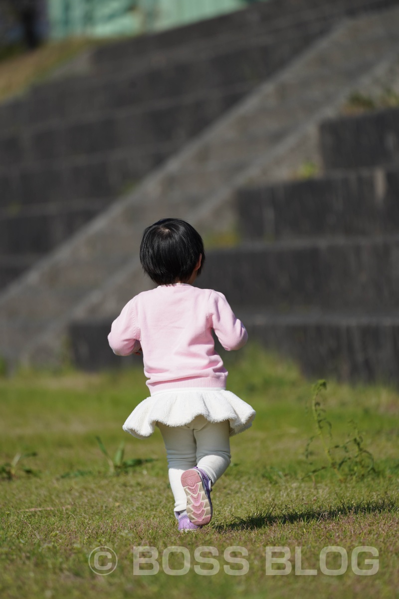 姫ちゃんと桜デート