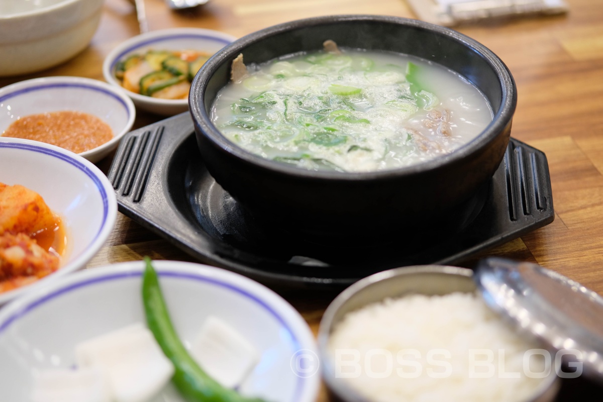 韓国釜山の旅（X-Pro2+XF50mmとX-E3+XF16mm）