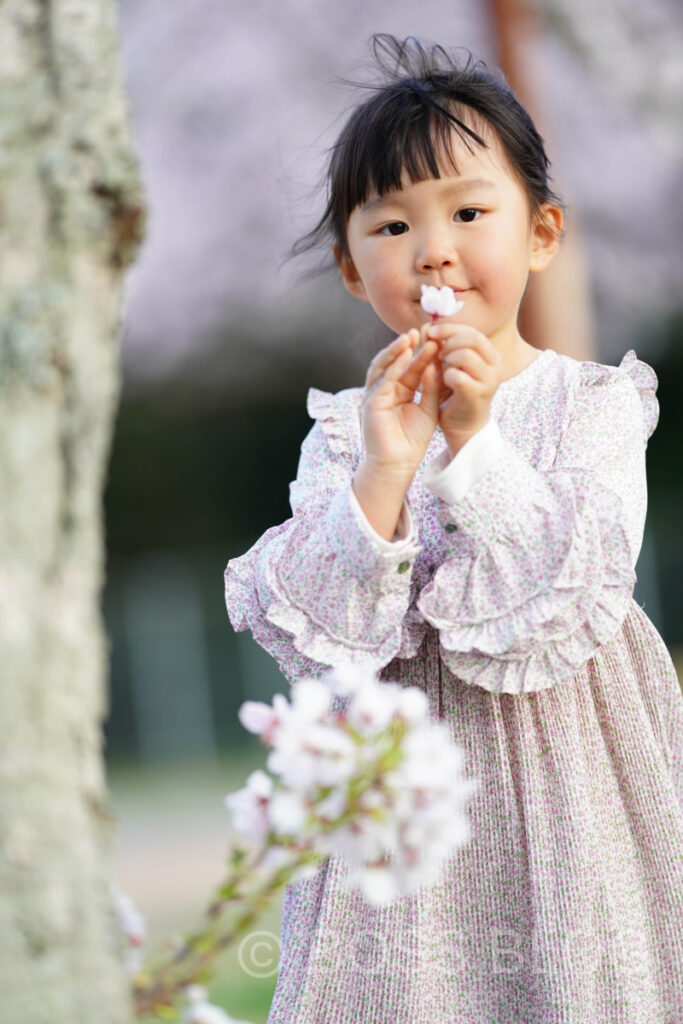 姫ちゃんと桜デート