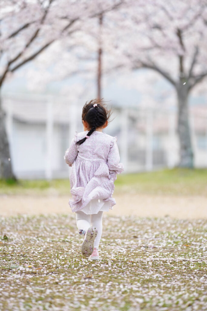 姫ちゃんと桜デート