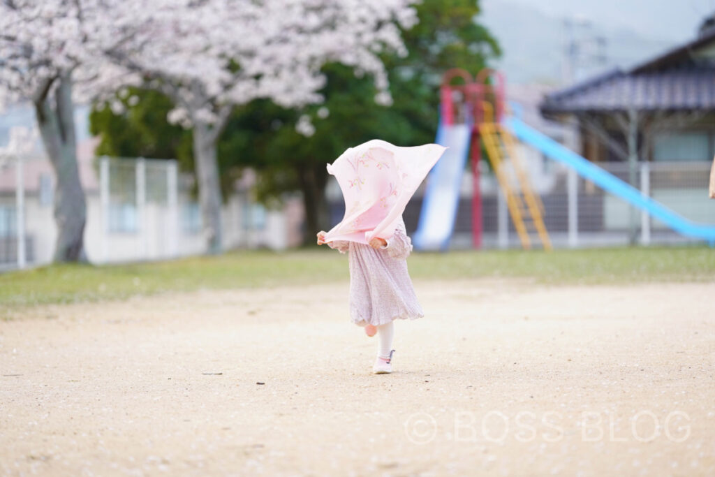 姫ちゃんと桜デート