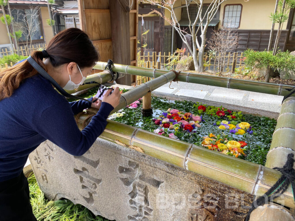 岩下カメラ