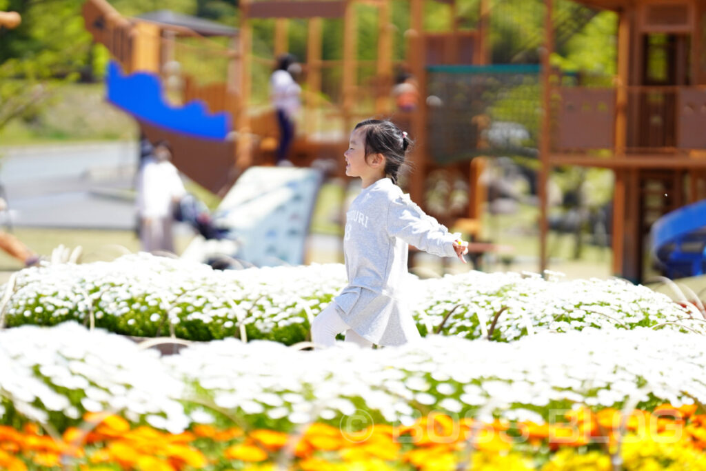 陶芸の村公園（萩市）