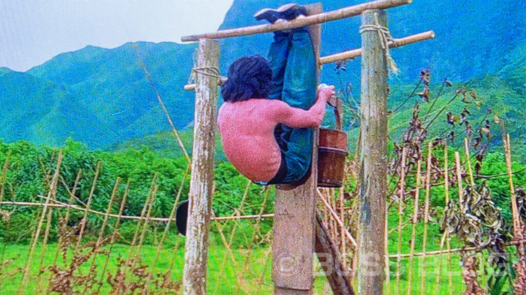 ドランクモンキー 酔拳