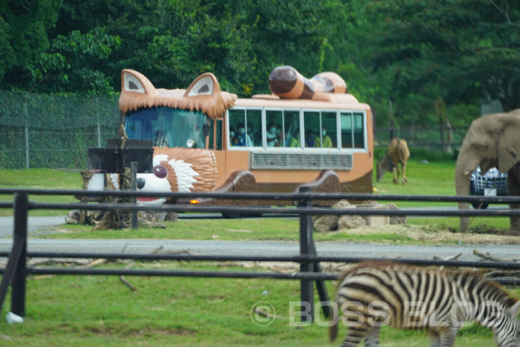 秋吉台自然動物公園サファリランド